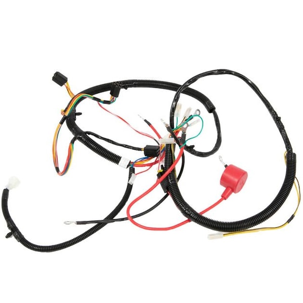 Harness-Rt Mn Amtr